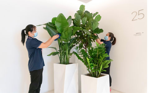 ��ҳ- ABGŷ�����Ź�����¼���