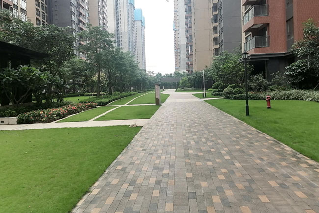 ABGŷ������԰��������Ŀ��Զ��ҵ����