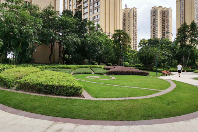 �̻�������Ŀ����������¡��仨��