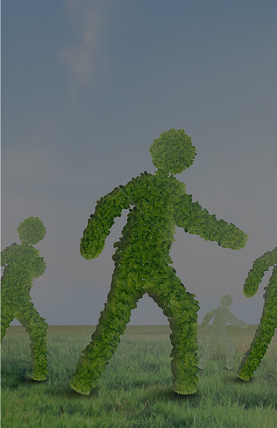 �����ֲ��