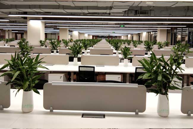 �����ֻ�е��