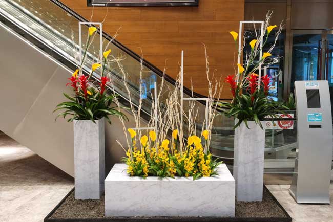 ������ҵ