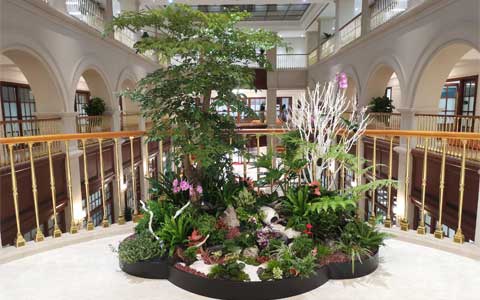 ���ޣ�ABGŷ������԰���ٻ�Ϊ��ǰ���عɡ��ո�����ͨ...