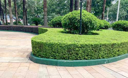 ó�������̻�����