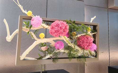 ��ҳ- ABGŷ�����Ź�����¼���