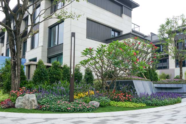 �����ɽҼ�Ż������