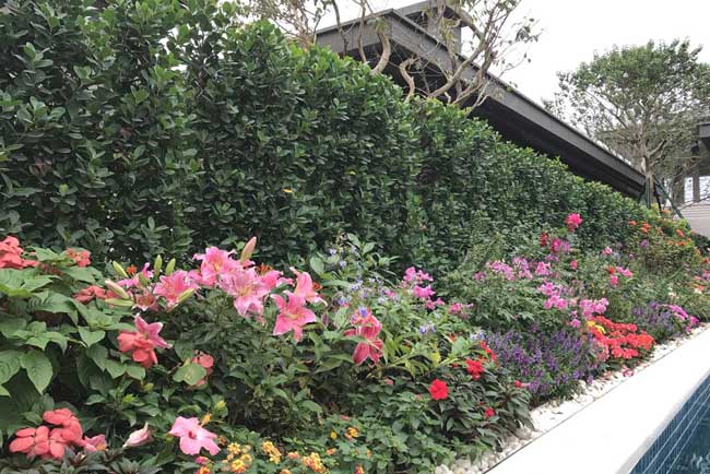 ���λ�������