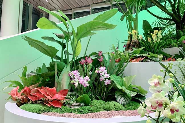 ����ǰ�����ʻ���������ֲ����