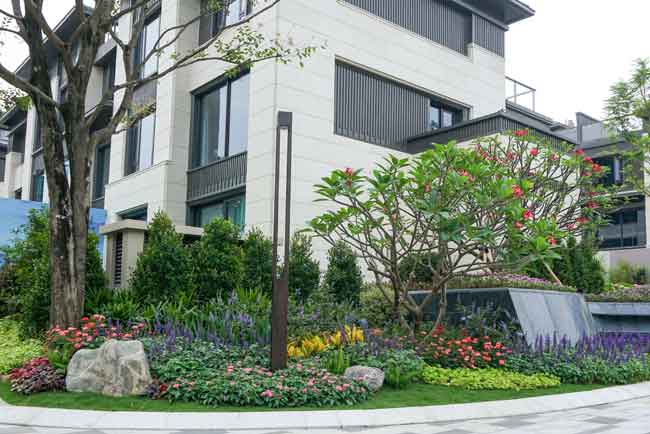 �����ɽҼ�Ż������