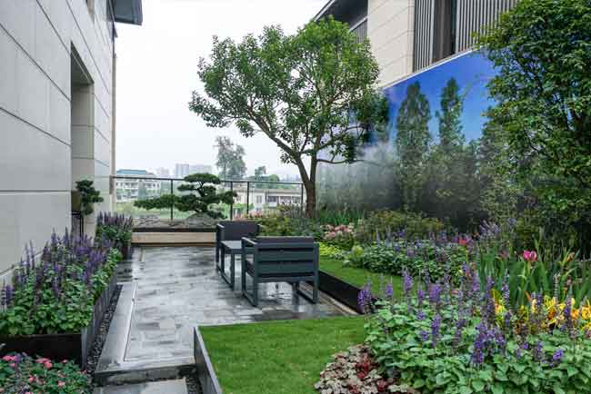 �����ɽҼ�Ż������