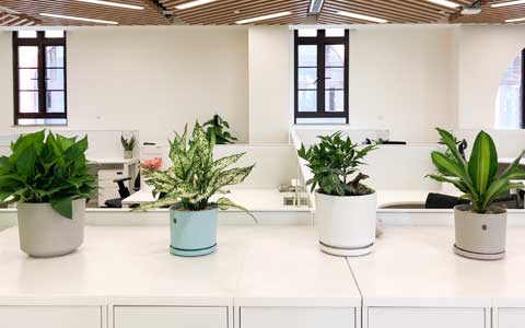 �칫������ֲ����ô������������ǧ��Ҫ����