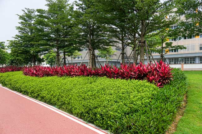 ������Ϫ����԰�̻�����