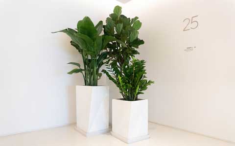 ������ֲ���������շѳ߶���