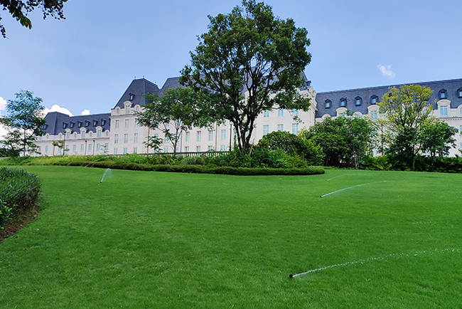 ��ݸ����ɽ��԰����������