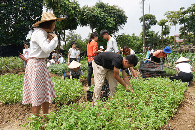 ABGŷ�����ſ����