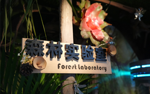 �����龰��������������԰����԰�տ����龰������