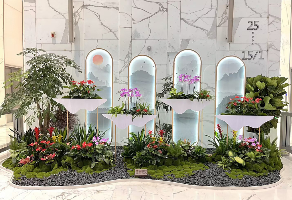 ABGŷ������԰�ֿ�������ֲ���쾰�������� ������������