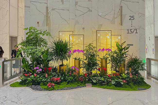 ABGŷ������԰�ֿ�������ֲ���쾰�������� ������������