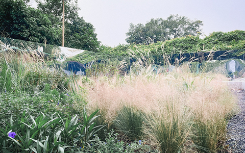 ��԰��԰�ս�ȫ��������쵼�ֲᡷ�����䲼