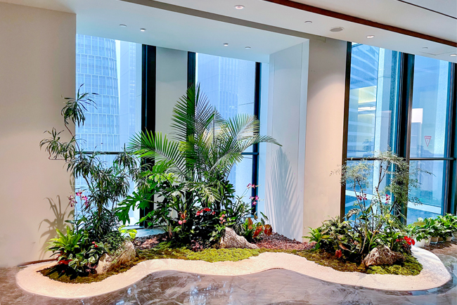 ABGŷ������԰�������̻������м�