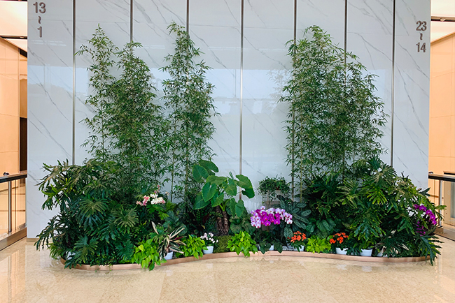 ABGŷ������԰�������̻������м�