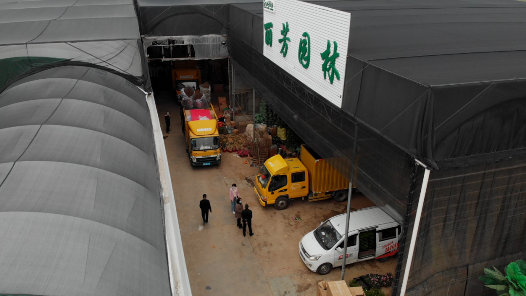 ��ҳ- ABGŷ�����Ź�����¼���