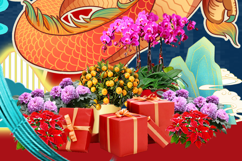 ��ҳ- ABGŷ�����Ź�����¼���