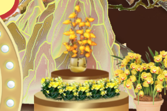 ��ҳ- ABGŷ�����Ź�����¼���