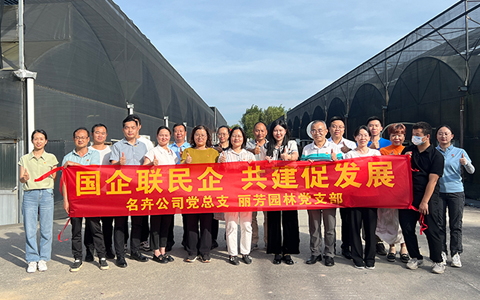 ����������������ƪ��ABGŷ������԰�ֵ�֧�������ܹ�˾��֧����չ��Թ����