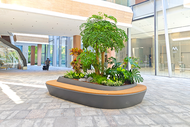 �̳��̻������ʩ��������������