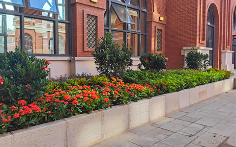 ABGŷ������԰�ְ�������ɽ��ѧ������̻�����������ĿԲ��ʵ��