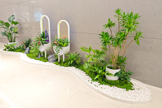 ������ֲ�쾰�������ݻ������