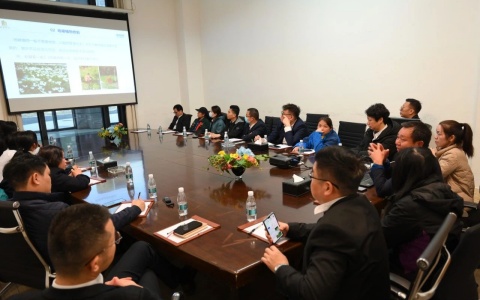 ����� | ������Э���ABGŷ������԰�ֽ�����ֲ����������ѵ����