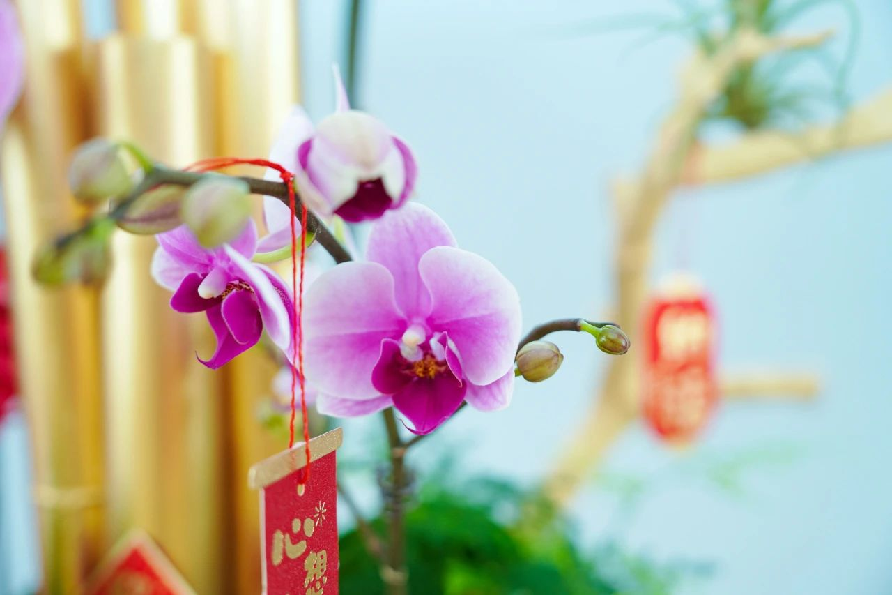 ��ҳ- ABGŷ�����Ź�����¼���