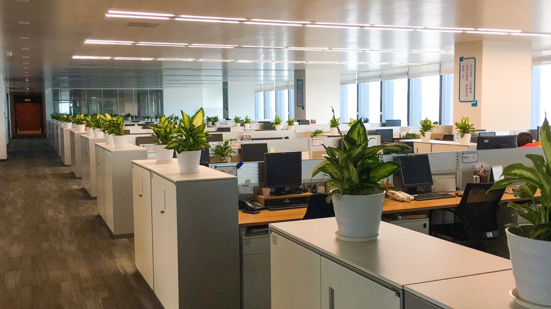 ��ҳ- ABGŷ�����Ź�����¼���