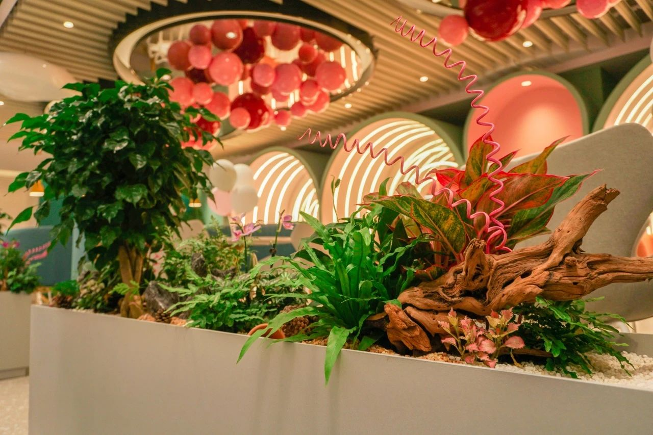 ��ҳ- ABGŷ�����Ź�����¼���