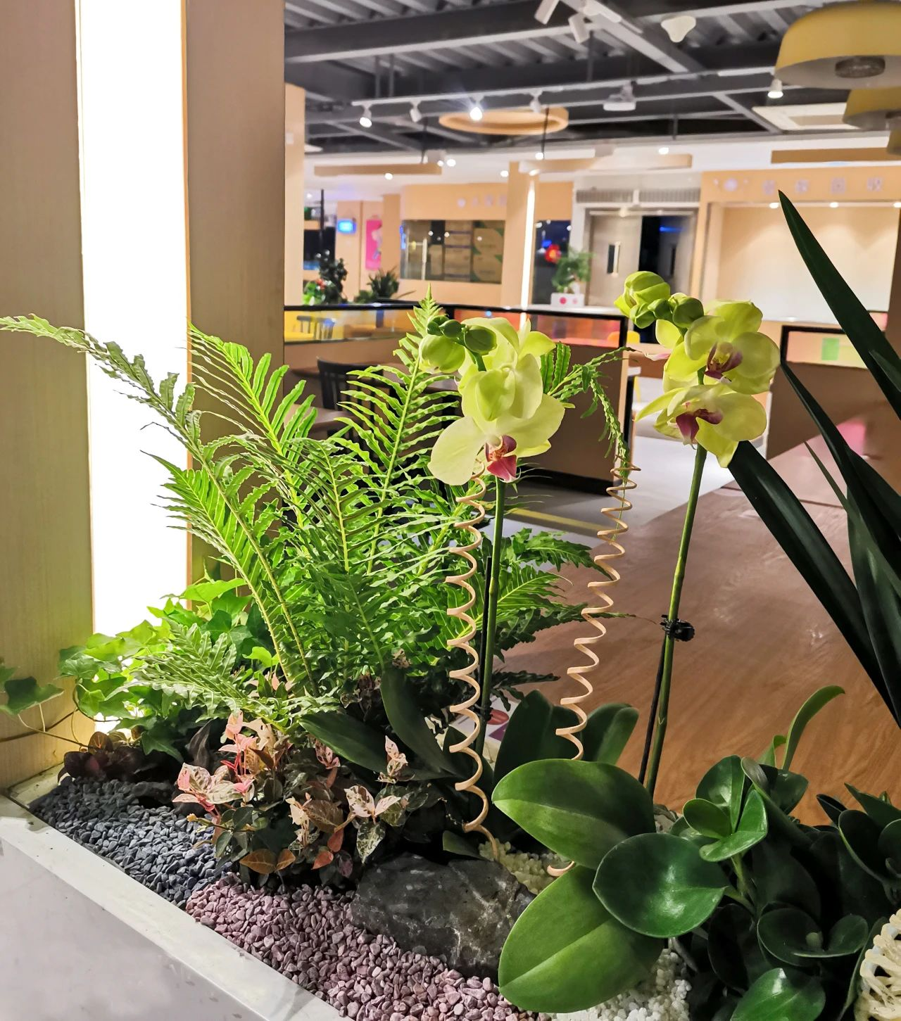 ��ҳ- ABGŷ�����Ź�����¼���