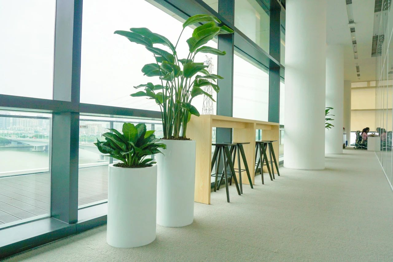 ��ҳ- ABGŷ�����Ź�����¼���