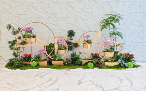 ��ֲ���� | ó�׿ռ���ֲ�쾰���ջ���