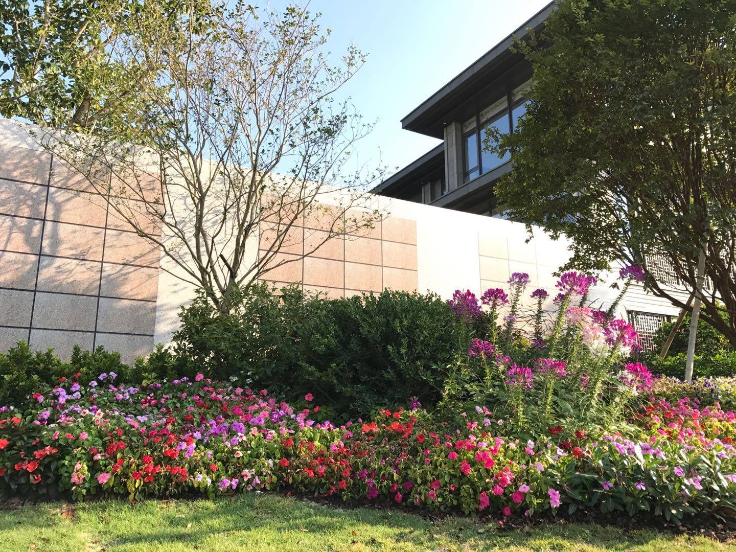 ��ҳ- ABGŷ�����Ź�����¼���