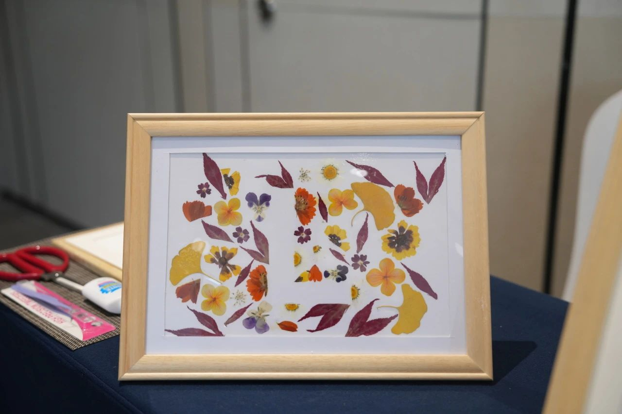 ��ҳ- ABGŷ�����Ź�����¼���