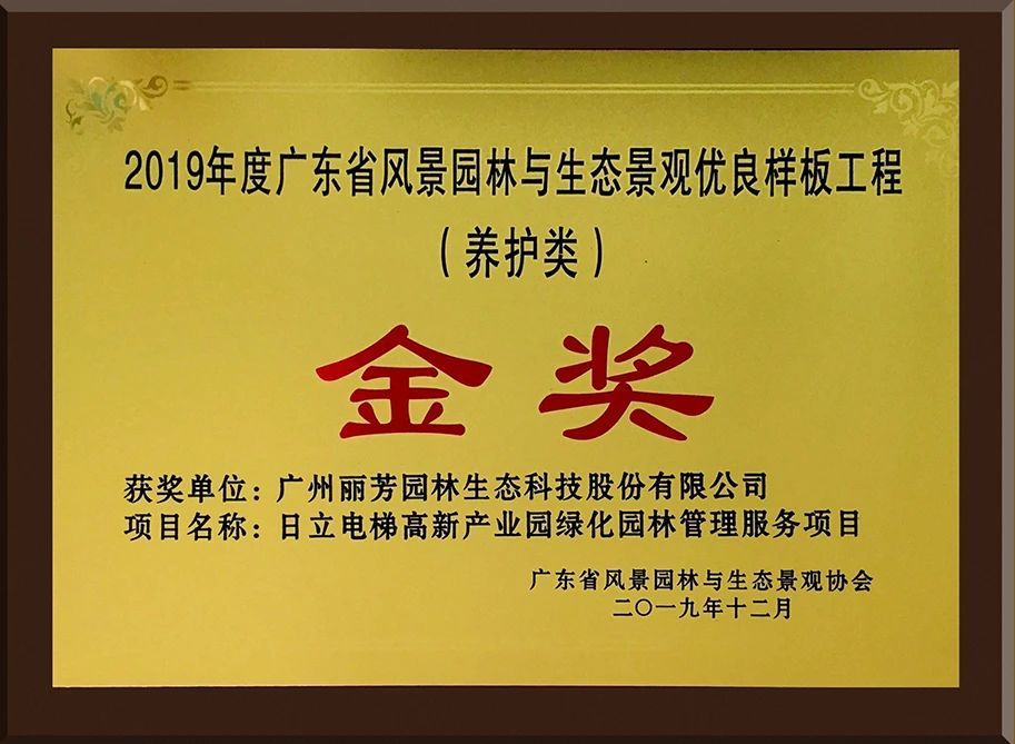 ��ҳ- ABGŷ�����Ź�����¼���