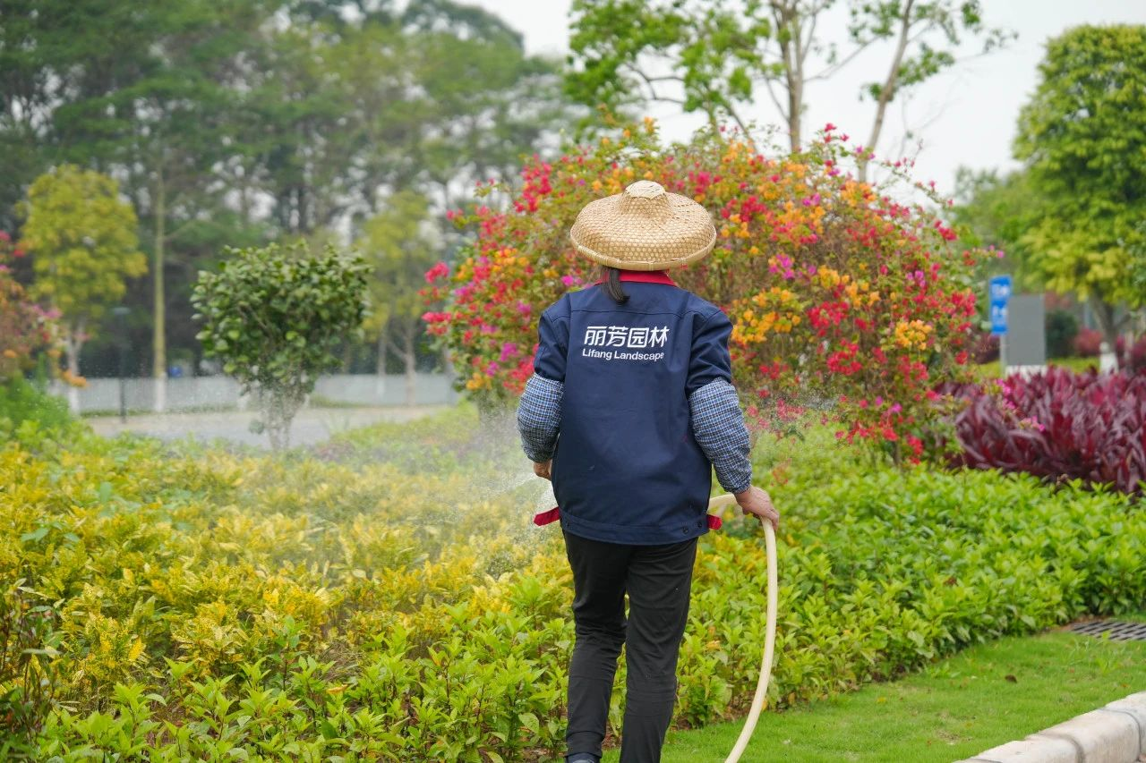 ��ҳ- ABGŷ�����Ź�����¼���