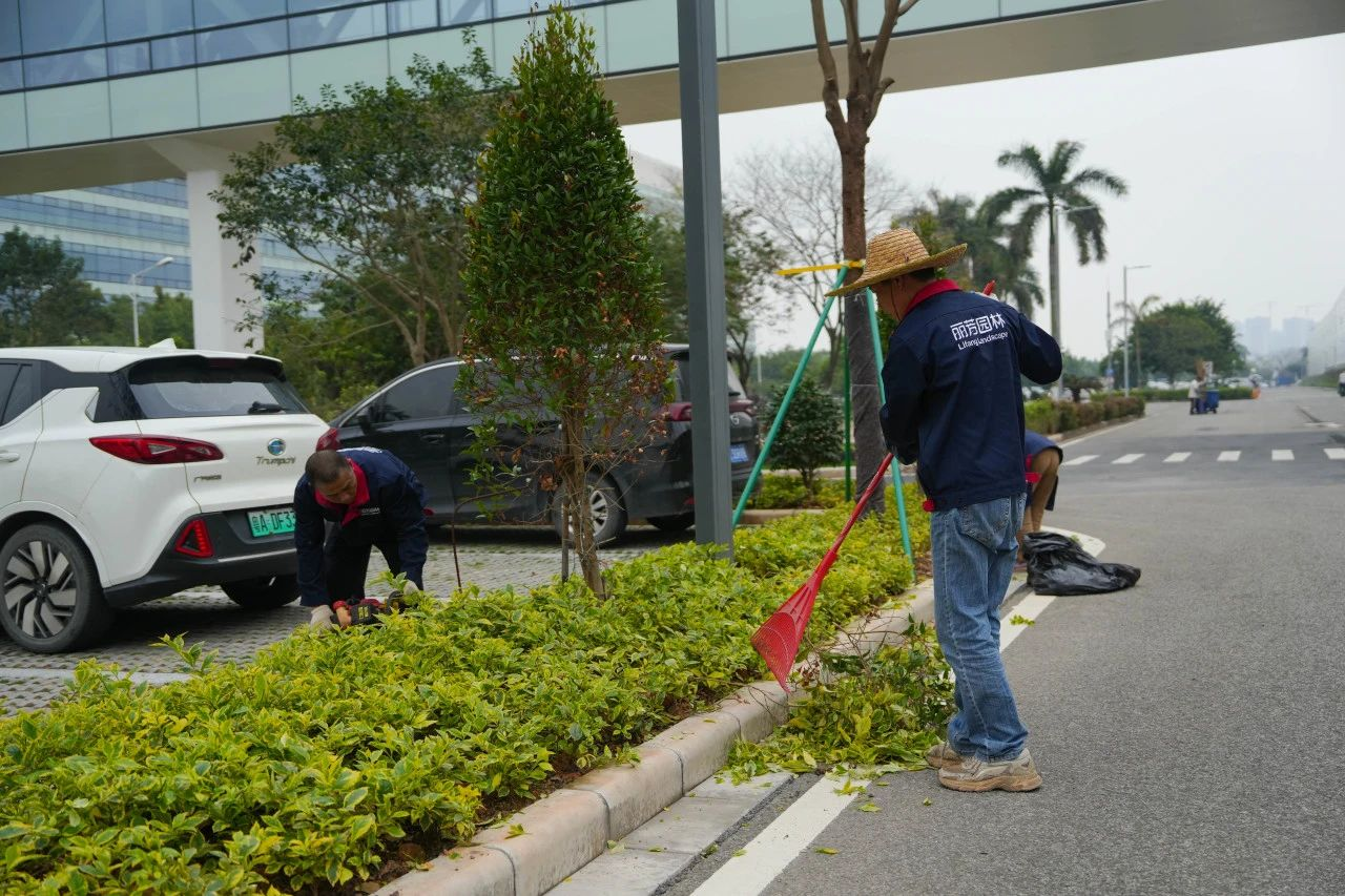 ��ҳ- ABGŷ�����Ź�����¼���