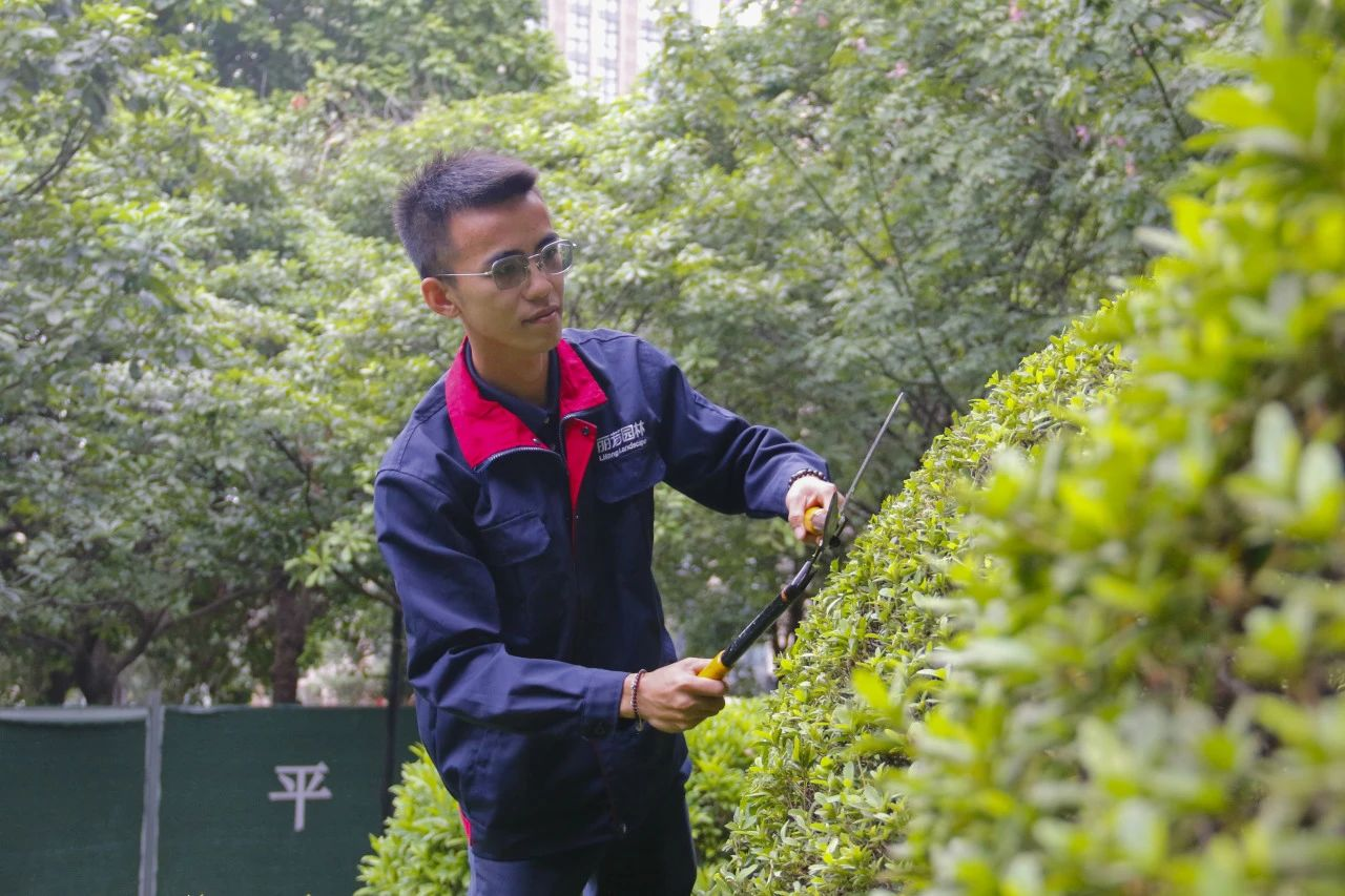 ��ҳ- ABGŷ�����Ź�����¼���