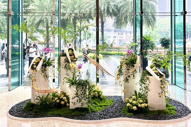 д��¥ֲ������