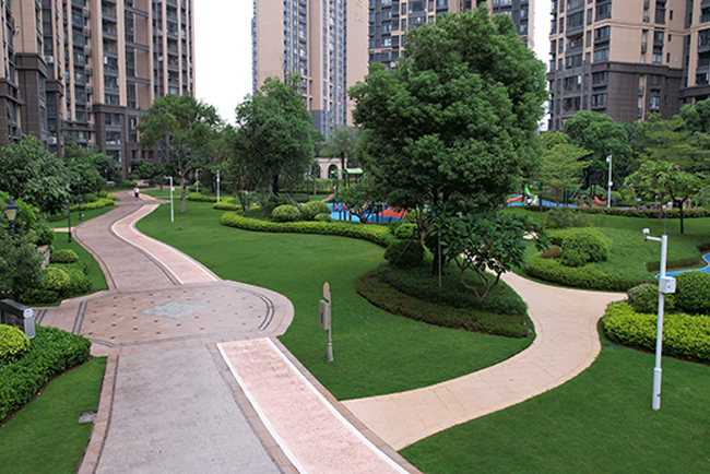 ��ï�̵����̻�����