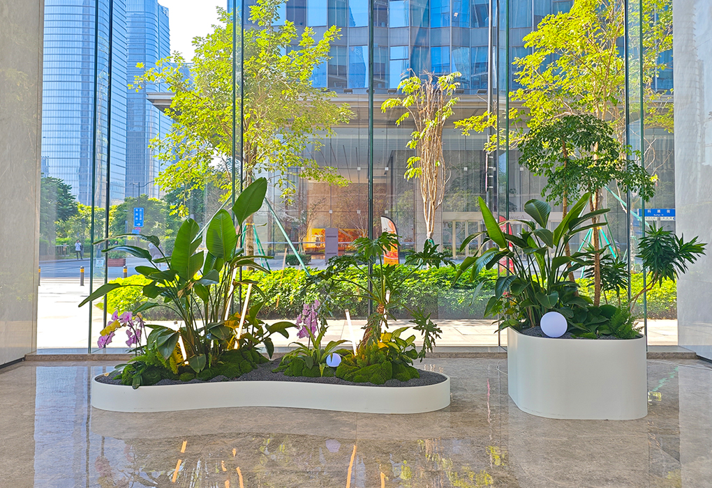 �������״�����ֲ���