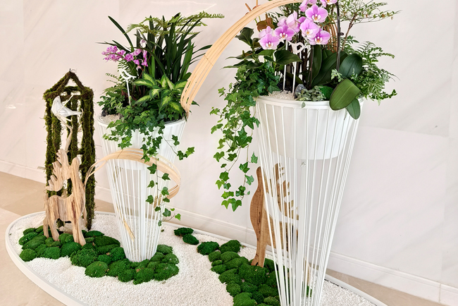 ��ݸ��Ϊ�з�������ֲ��ڰ���