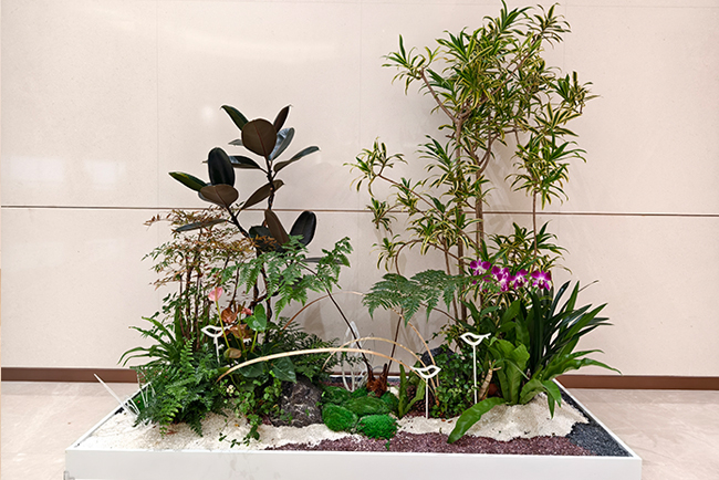 ��ݸ��Ϊ�з�������ֲ��ڰ���